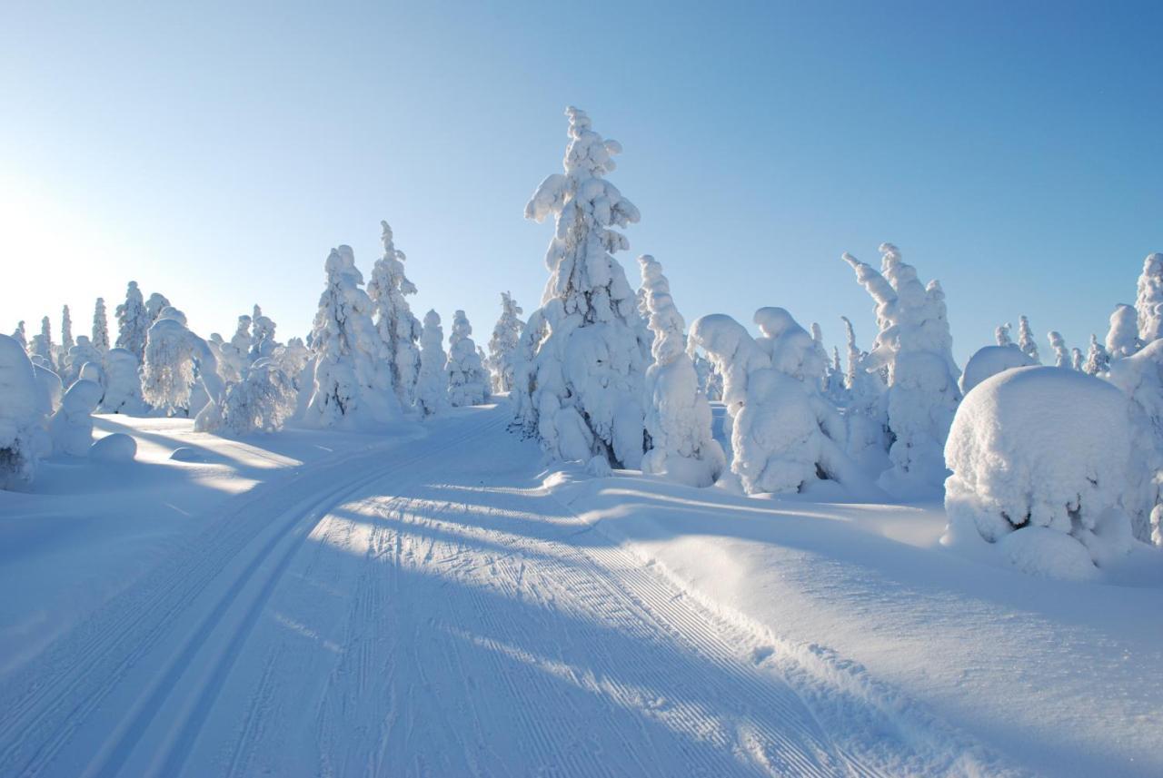 Nuoriso- Ja Luontomatkailukeskus Oivanki Exteriör bild